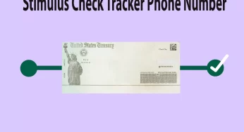 Stimulus Check Tracker Phone Number, Who can I talk to about my stimulus check? How do I contact the IRS?